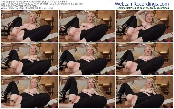 2025/05/30/stripchat-lilywilder-22-45-04