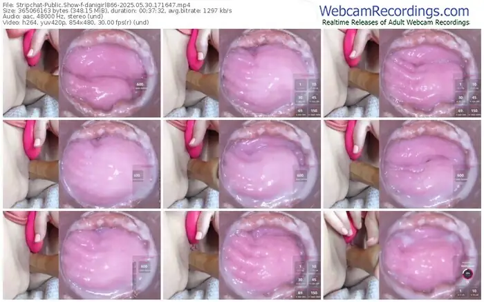 2025/05/30/stripchat-danigirl866-17-16-47
