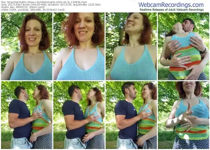 2025/05/31/stripchat-exhibitionsplit-13-48-39