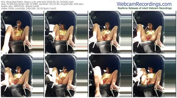 2025/05/31/stripchat-lib_ertine32-15-04-20