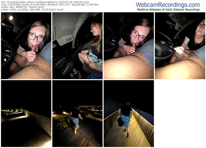 2025/05/31/stripchat-wildyoungnhorny-05-46-39