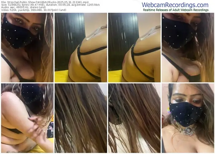 2025/05/31/stripchat-wildbitchfucks-21-33-41
