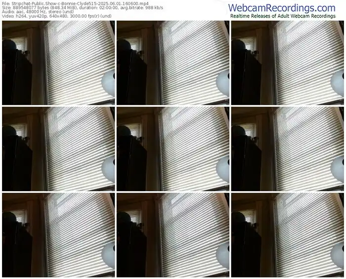 2025/06/01/stripchat-bonnie-clyde515-16-06-00