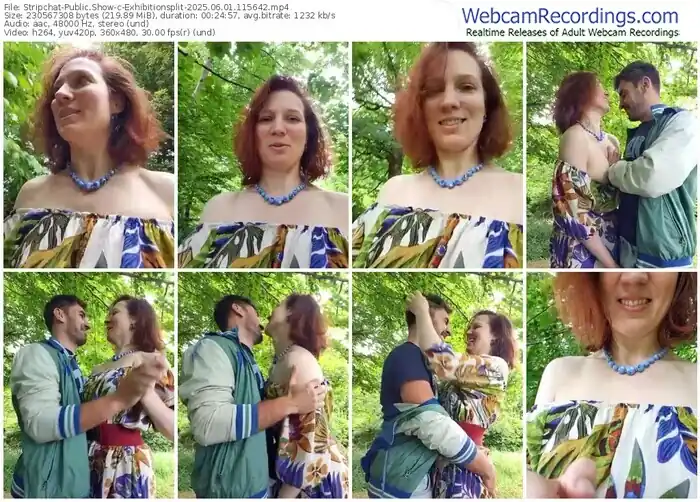 2025/06/01/stripchat-exhibitionsplit-11-56-42