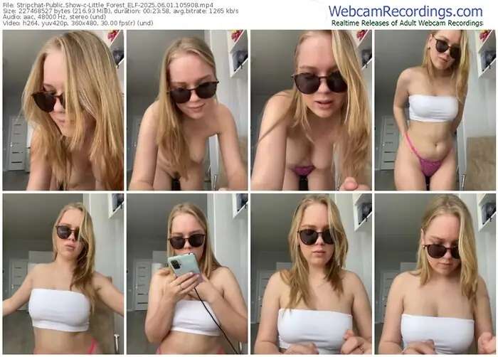 2025/06/01/stripchat-little_forest_elf-10-59-08
