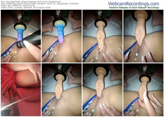 2025/06/01/stripchat-iitaniee-15-19-39