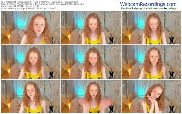 2025/06/01/stripchat-_rose_charming_-00-20-08