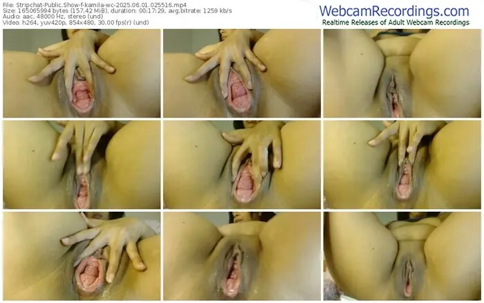 2025/06/01/stripchat-kamila-wc-02-55-16