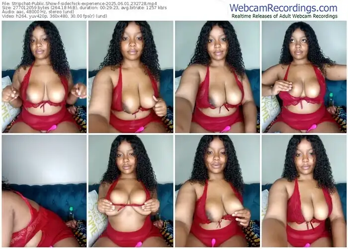 2025/06/01/stripchat-sidechick-experience-23-27-28