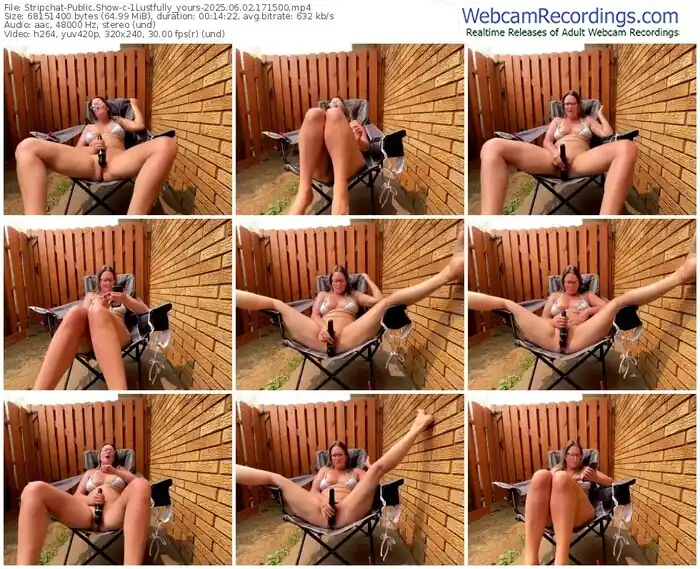 2025/06/02/stripchat-1lustfully_yours-17-15-00