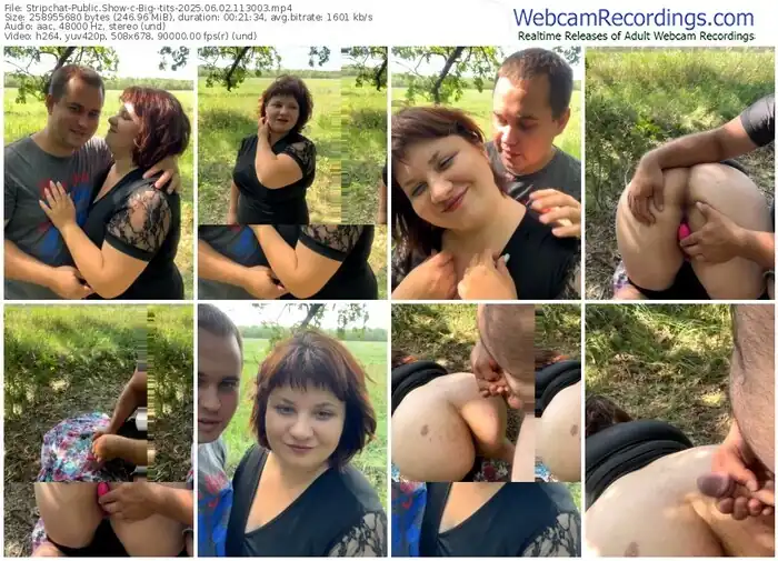 2025/06/02/stripchat-big--tits-11-30-03