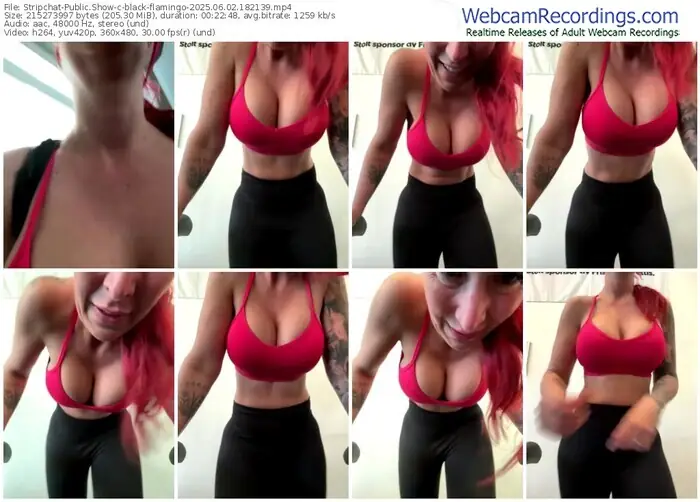 2025/06/02/stripchat-black-flamingo-18-21-39