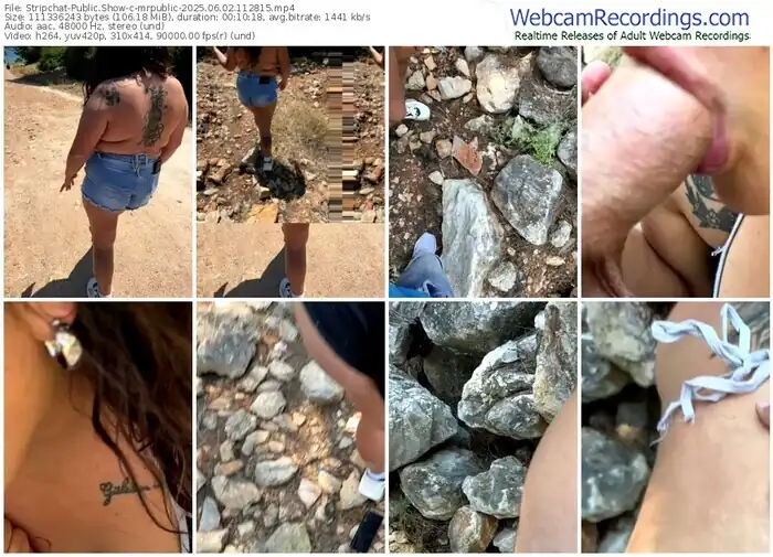 2025/06/02/stripchat-mrpublic-11-28-15