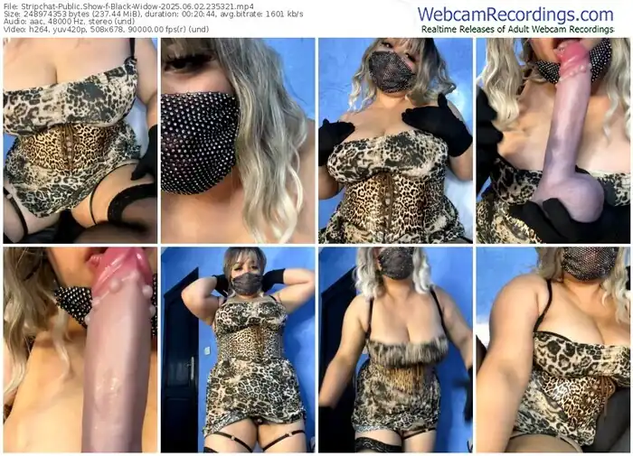 2025/06/02/stripchat-black-widow-23-53-21