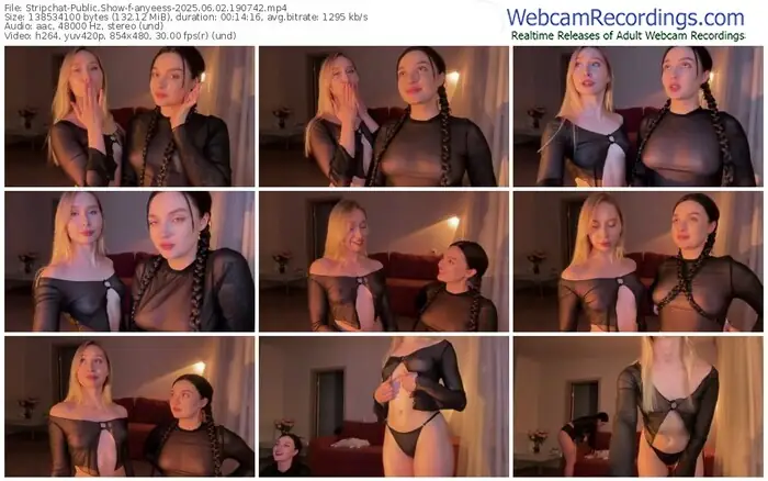 2025/06/02/stripchat-anyeess-19-07-42