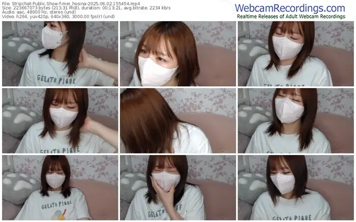 2025/06/02/stripchat-mei_hosina-15-54-54
