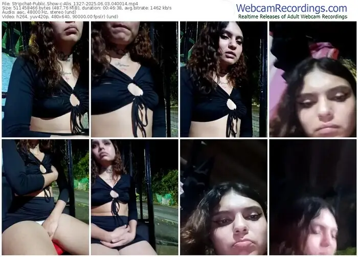 2025/06/03/stripchat-alis_1327-04-00-14