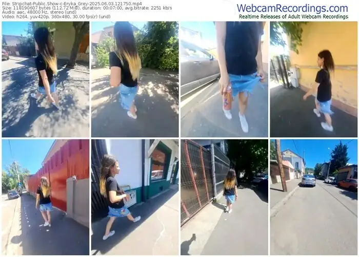 2025/06/03/stripchat-eryka_grey-12-17-50