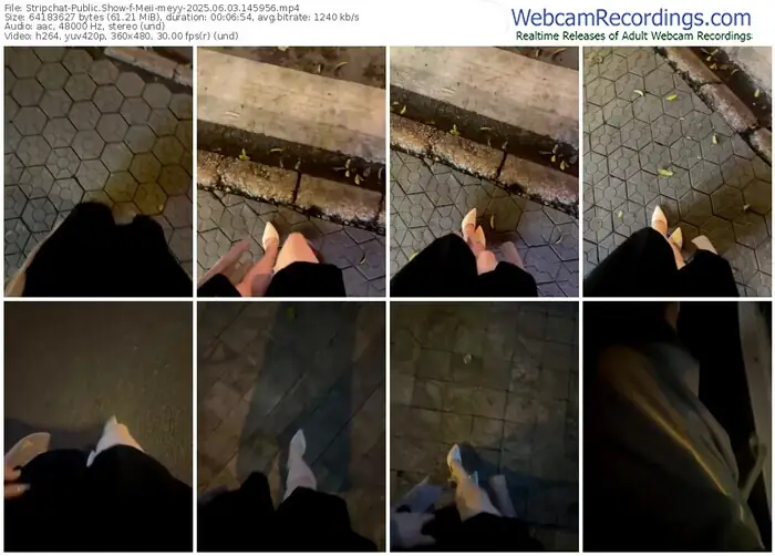 2025/06/03/stripchat-meii-meyy-14-59-56