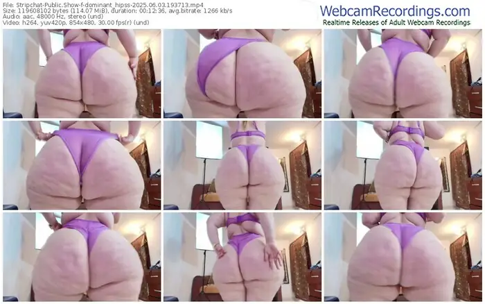 2025/06/03/stripchat-dominant_hipss-19-37-13