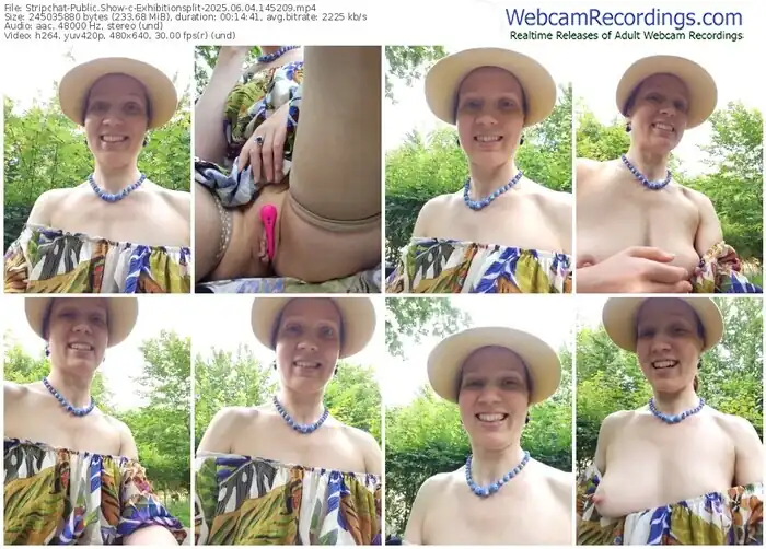 2025/06/04/stripchat-exhibitionsplit-14-52-09