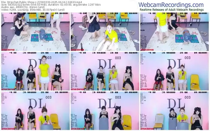 2025/06/04/stripchat-zz000333-13-26-33