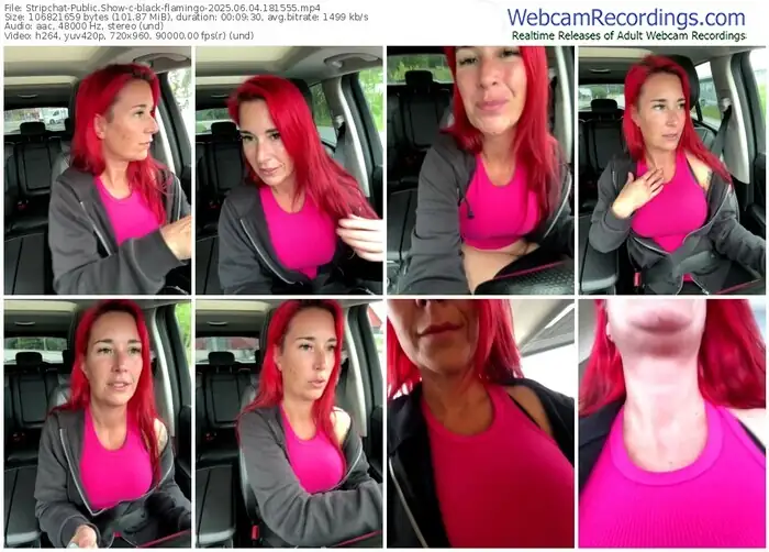 2025/06/04/stripchat-black-flamingo-18-15-55