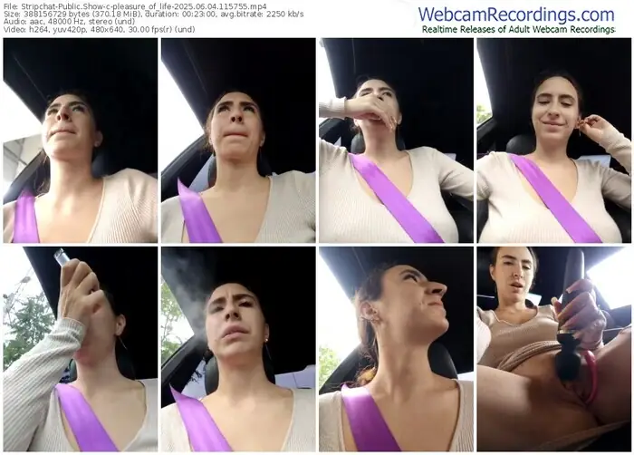 2025/06/04/stripchat-pleasure_of_life-11-57-55