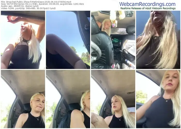 2025/06/04/stripchat-merlindave-07-00-56