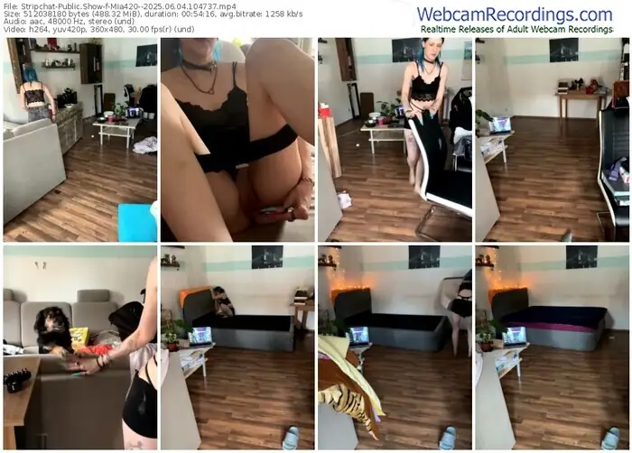 2025/06/04/stripchat-mia420--10-47-37