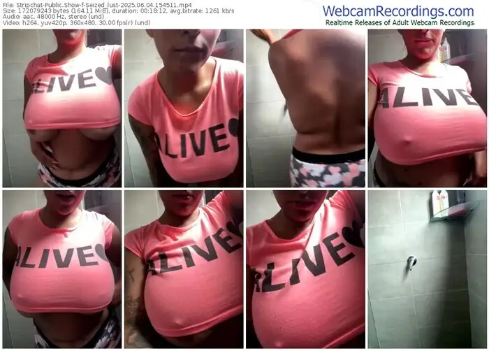 2025/06/04/stripchat-seized_lust-15-45-11