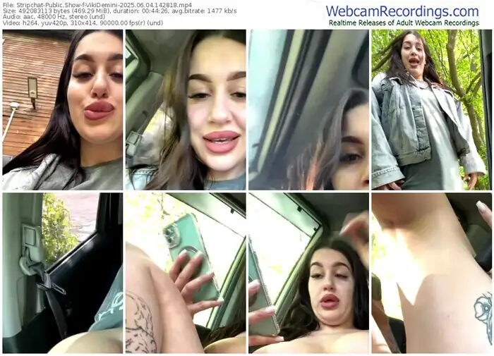 2025/06/04/stripchat-vikidemini-14-28-18