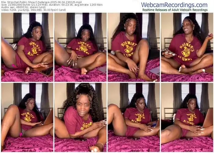 2025/06/04/stripchat-zadaraye-23-00-25