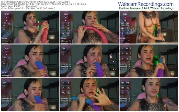 2025/06/05/stripchat-evacanton-17-56-02