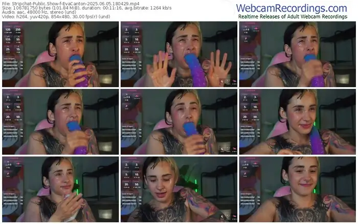 2025/06/05/stripchat-evacanton-18-04-29