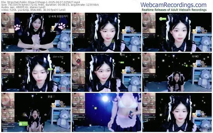2025/06/07/stripchat-sheep-1-02-59-27
