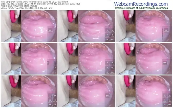 2025/06/08/stripchat-danigirl866-21-59-33