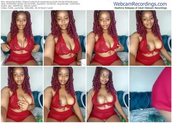2025/06/08/stripchat-sidechick-experience-06-56-28