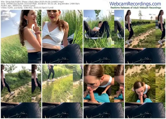 2025/06/09/stripchat-bad_idea-14-46-53