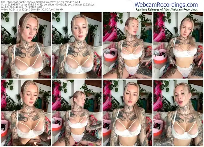 2025/06/09/stripchat-stella-kink-09-04-52