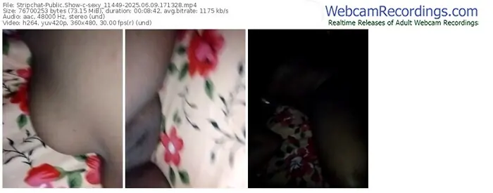 2025/06/09/stripchat-sexy_11449-17-13-28