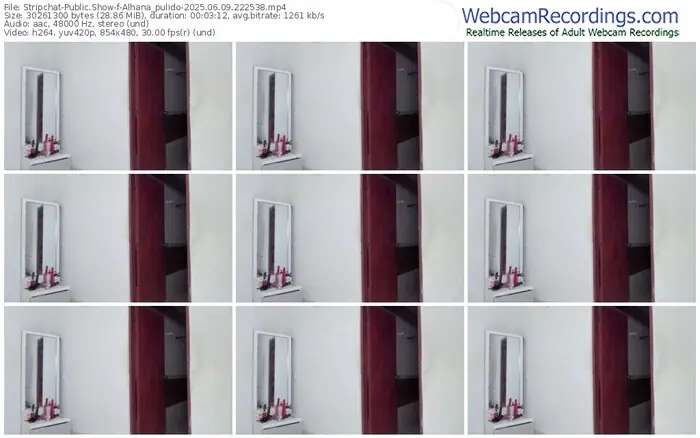 2025/06/09/stripchat-alhana_pulido-22-25-38