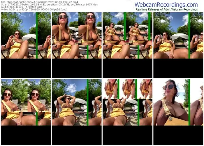 2025/06/09/stripchat-dina0908-13-21-42