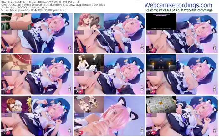 2025/06/09/stripchat-rem---22-39-57