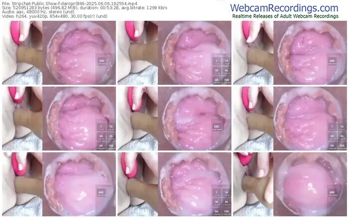 2025/06/09/stripchat-danigirl866-19-25-54