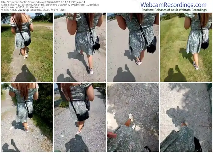 2025/06/10/stripchat-alexvit2616-11-38-14