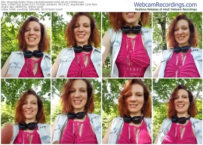 2025/06/10/stripchat-exhibitionsplit-13-40-56