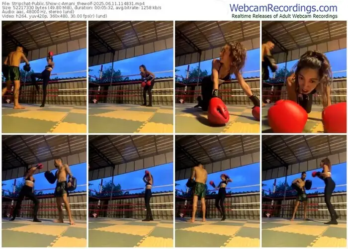 2025/06/11/stripchat-amani_thewolf-11-48-31