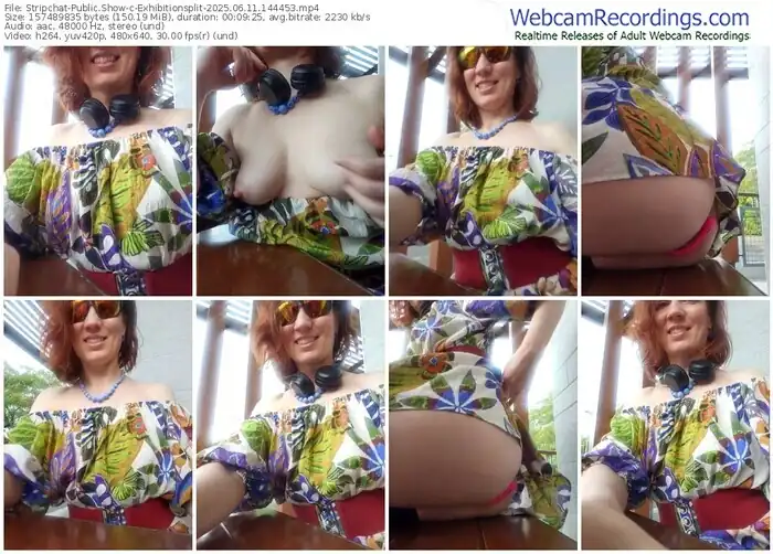 2025/06/11/stripchat-exhibitionsplit-14-44-53