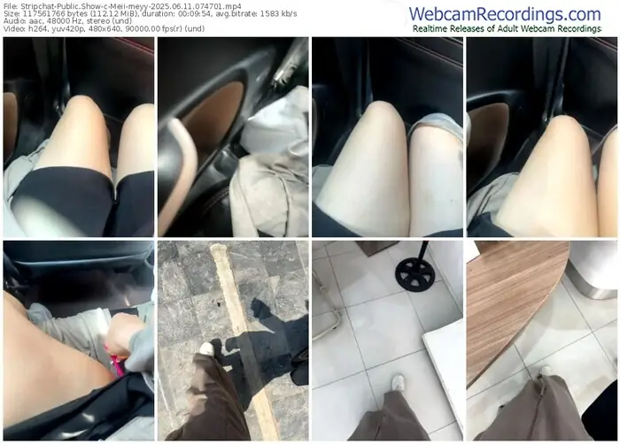 2025/06/11/stripchat-meii-meyy-07-47-01